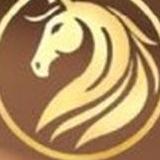الخيّال
